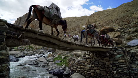 tilt-up shot to a sherpa, donkey and horse caravan as passing through a mountain river on a wooden bridge climbing up on the hill in the himalayas