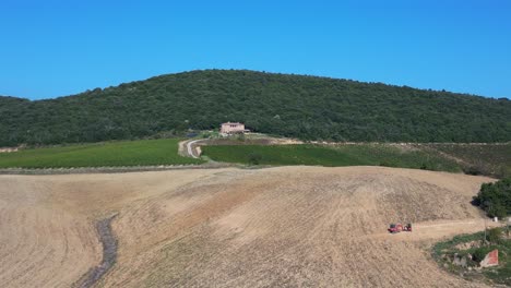 meditative cloudless landscape, fall tuscany italy