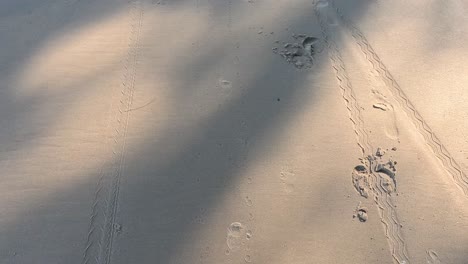 progression of footprints and shadows on sandy beach