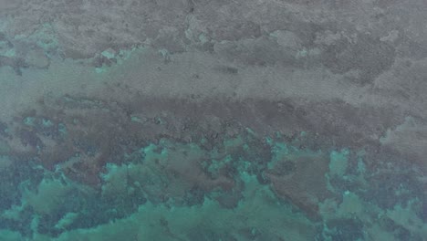 Lake-Ontario-clear-water-on-a-cloudy-day-in-the-fall