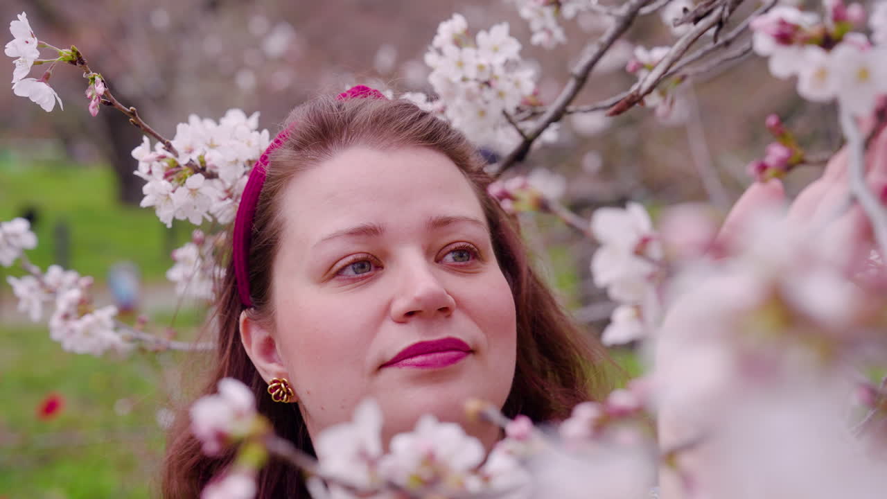 Donna sorridente che tocca delicati fiori di ciliegio nei Giardini Botanici di Kyoto, Giappone