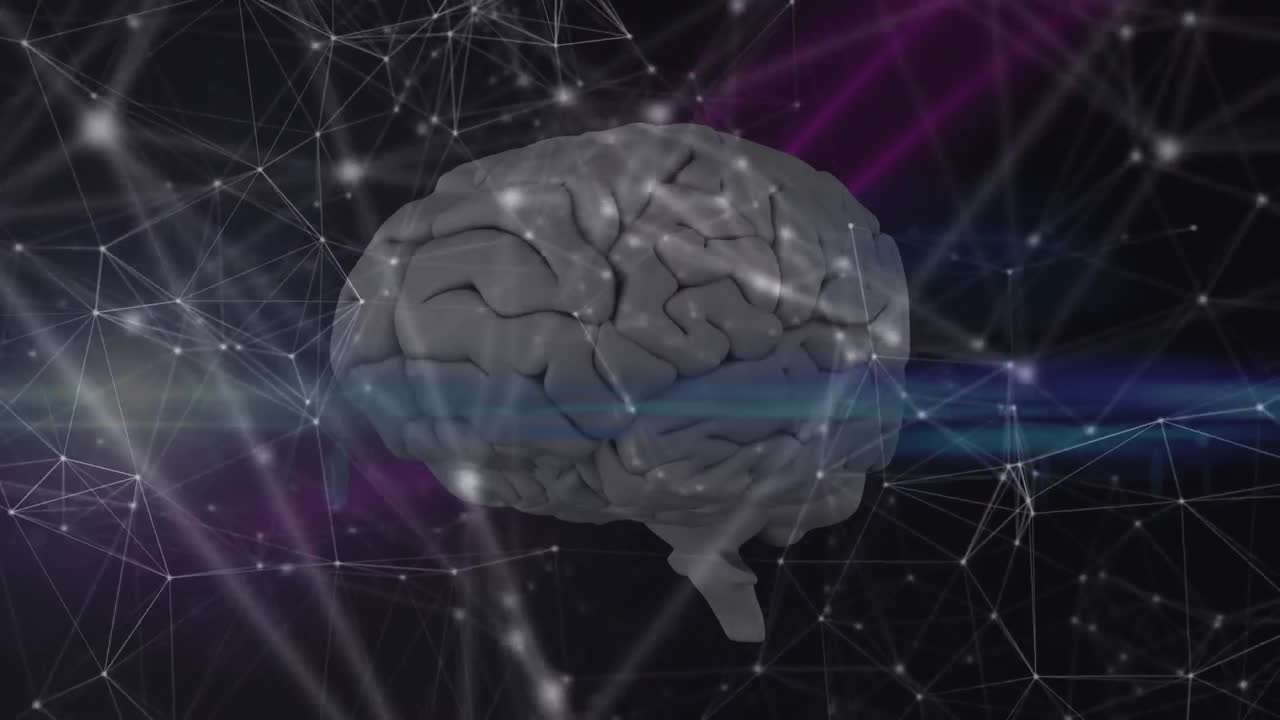 인간의 뇌에 대한 연결 네트워크와 검은 바탕에 있는 빛의 흔적