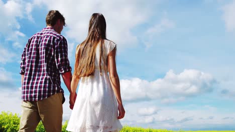 romantic couple holding hands while walking in field