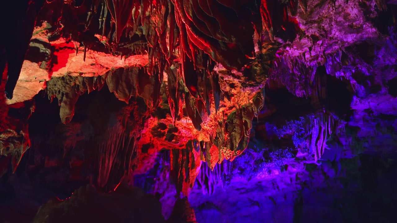 A detailed vertical tilt-down shot inside Yellow Dragon Cave. Intricate limestone stalactites hanging from the cavern ceiling are vividly illuminated with red and purple neon lights.