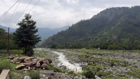 exploring nature beauty, travel through kashmir green landscapes, birds, water, plants and the life of indian farmers, ploughing bull and environment lovers