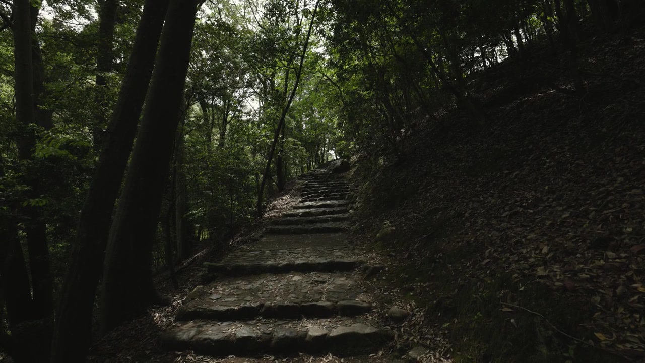 Empty forest trail, stone stairs in Japan