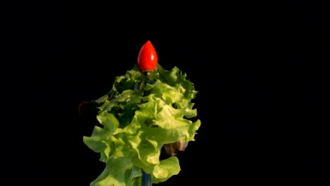 vegetables salad food on fork on black background.