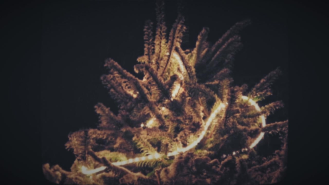 Albero di Natale illuminato con nevicata