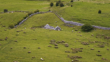 lapso de tiempo del paisaje natural agrícola rural durante el día en irlanda