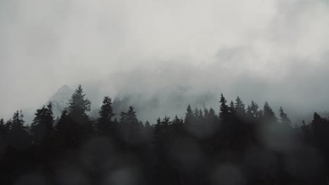 Lluvia-Cae-Sobre-Un-Pino-Del-Bosque-En-El-Día-De-Invierno,-Movimiento-De-Niebla-Sobre-La-Montaña