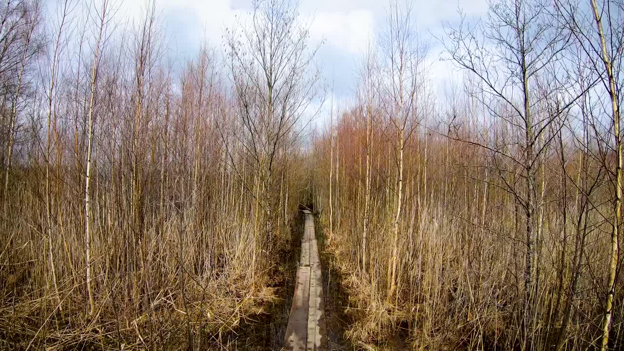 пешеходная тропа из дерева