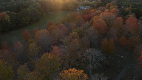 aerial pan up fly over footage over lush foliage revealing golden sunset