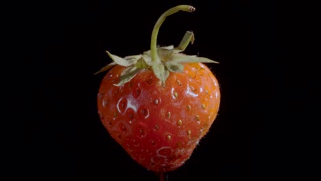 levitating red strawberry. rotating ripe strawberry flying in the air isolated on black background. closeup, camera rotation 360 degrees.