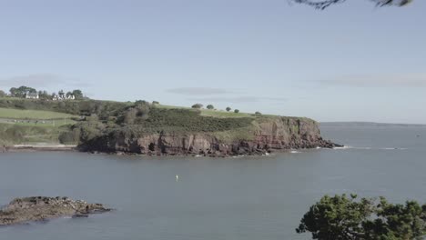 Aerial-flight-past-gnarled-pine-tree-toward-ocean-cliffs-in-Ireland