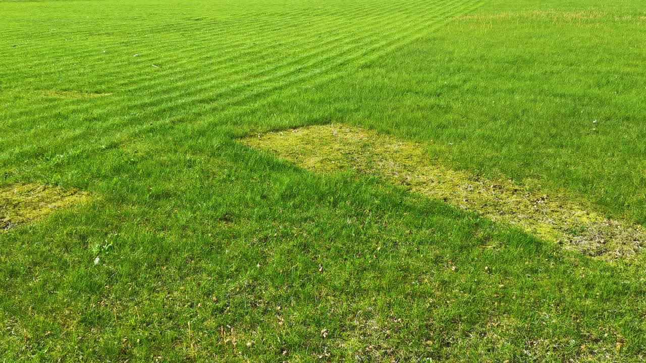 Automated Husqvarna lawn mower driving downhill