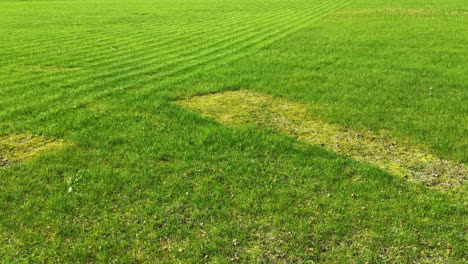 automated husqvarna lawn mower driving downhill