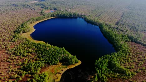 latvia’s akacis lake glows deep blue amid untouched forest from drone view