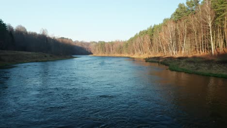 aerial: flying very close to flowing river on a autumn evening in wild forest