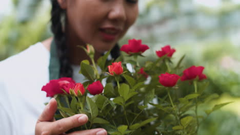 庭師が花に触れる