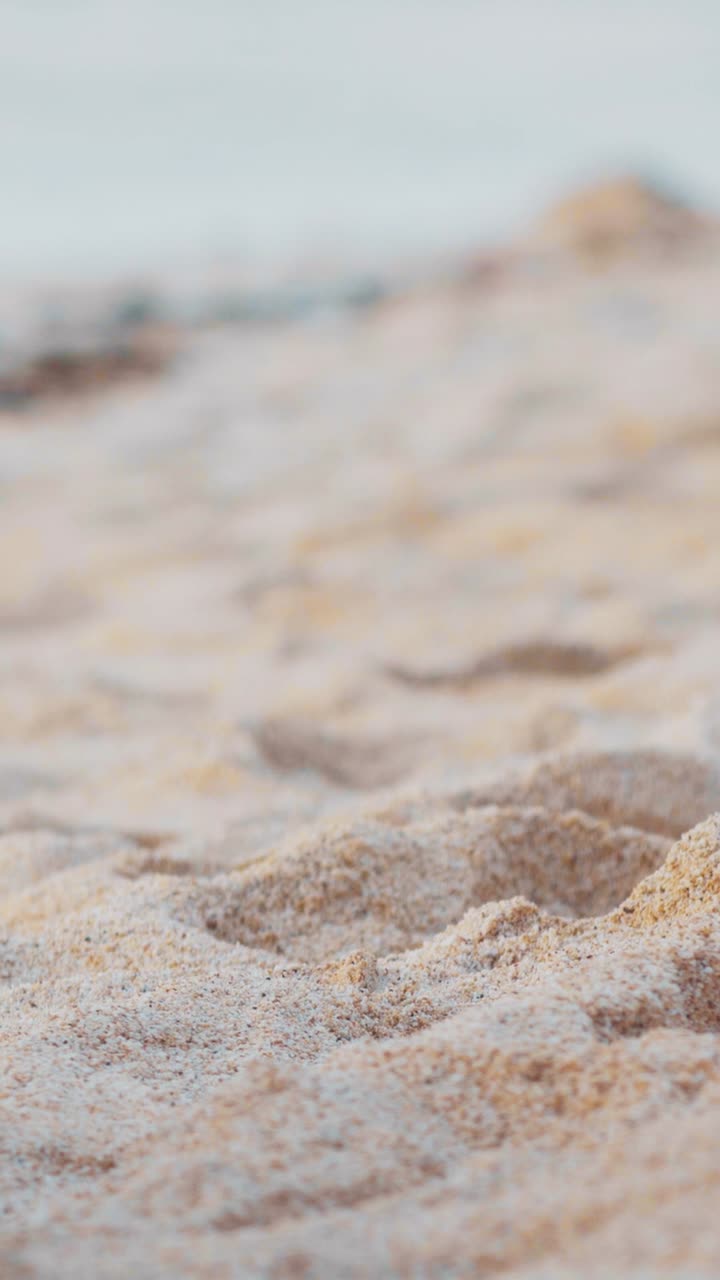 Eco volunteer picks up bottle from sandy beach cleaning nature from pollution