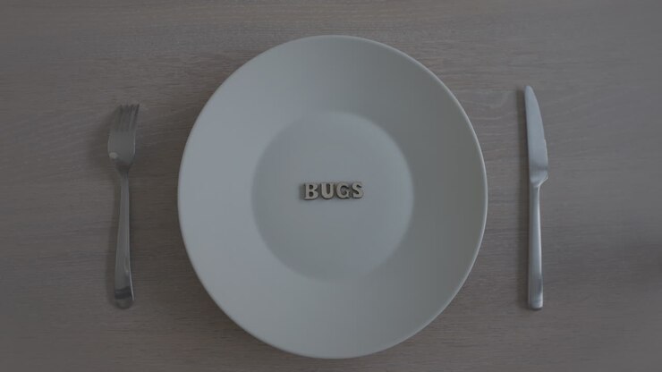 Lähikuva tyhjästä lautasesta, jossa lukee "bugs", ja kansi paljastamassa sen