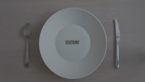 close-up of empty plate with bugs written and a lid that uncovers it