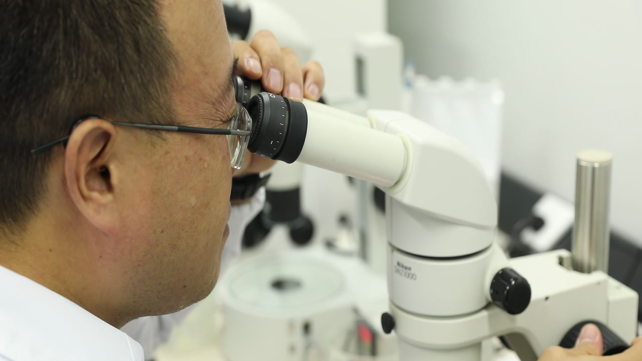 Scientist New Drug Medicine Development Laboratory Using Microscope, Analyzes Petri Dish Sample. Researcher, biotech and molecule exam of engineering, vaccine research and healthcare solution