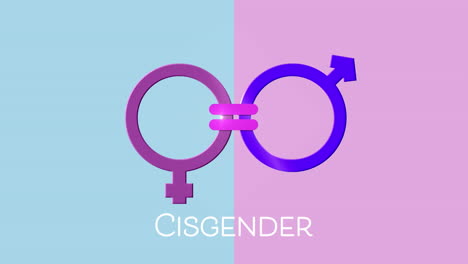 animation of text cisgender, male and female gender symbols joined by equals sign, on pink and blue