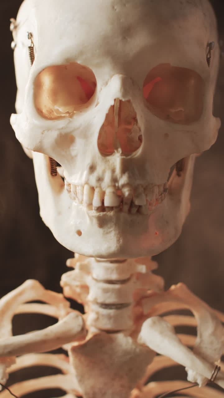 Vertical video of close up of halloween skeleton with copy space on black background
