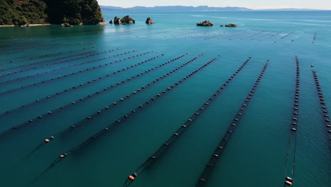 Clam-breeding-farm-on-coastline-of-New-Zealand,-aerial-orbit-view