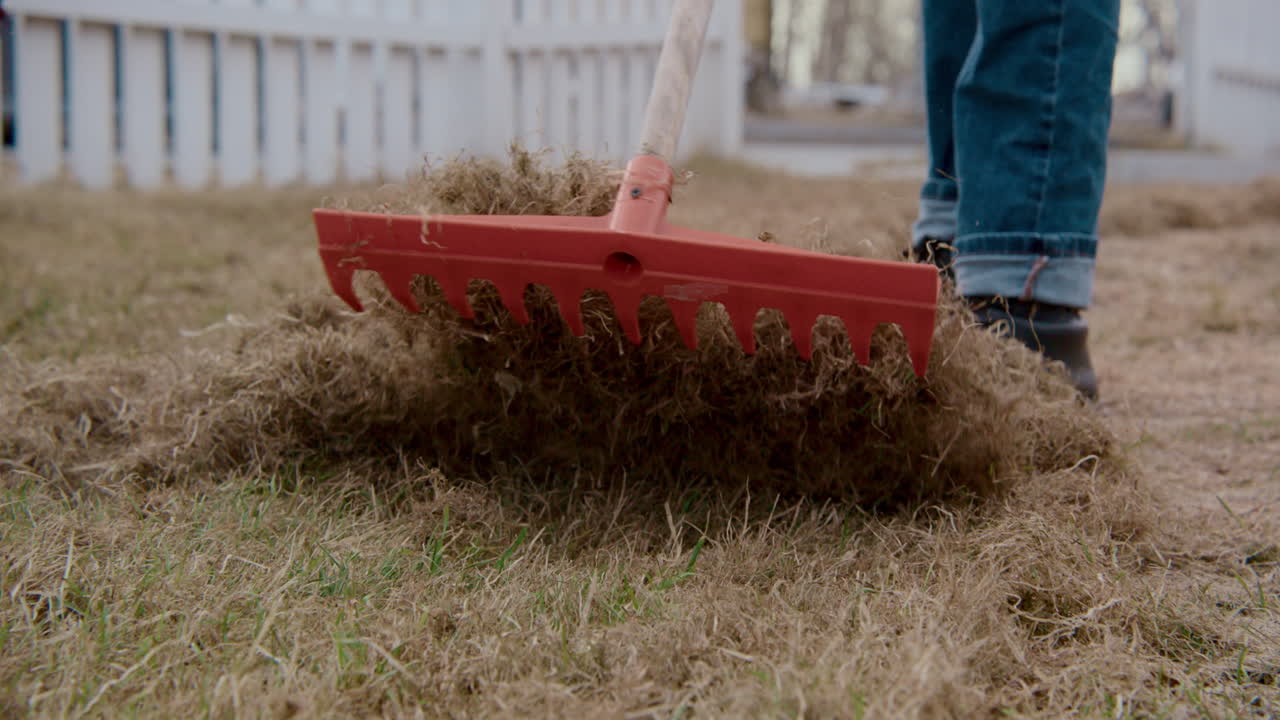 Raking Leaves in the Yard