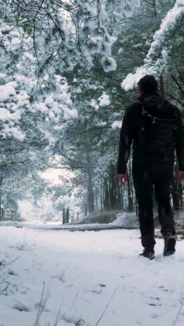 snowy forest path with person hiking