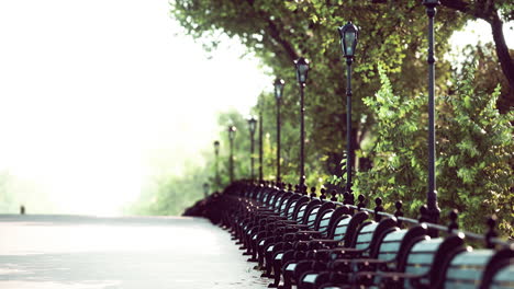 empty park after park is closed due to coronavirus covid-19 pandemic outbreak