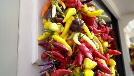 pimientos rojos, amarillos, morados y anaranjados en el