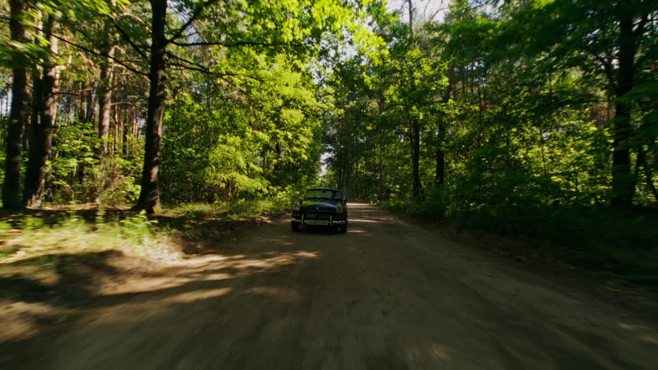 Car driving through a forest on a dirt road