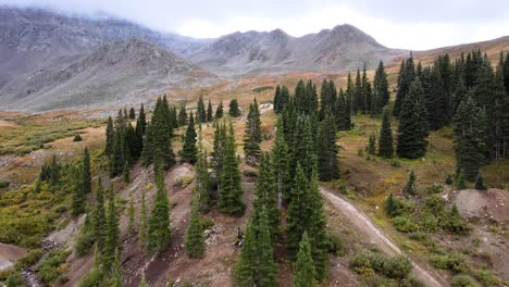 4K-Luftaufnahmen-Von-Bäumen-Und-Wäldern-In-Der-Mayflower-Gulch-Mit-Nebel-Auf-Den-Bergen-In-Der-Nähe-Von-Leadville-Und-Copper-Mountain,-Colorado-Summit-County