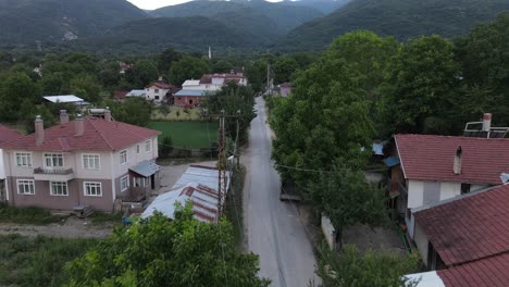 abejón aéreo camino rural pueblo