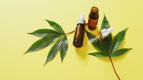 Video-of-marijuana-leaves-and-bottle-of-cbd-extract-on-yellow-background