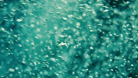 slow motion of air bubbles floating from sea bottom to the water surface