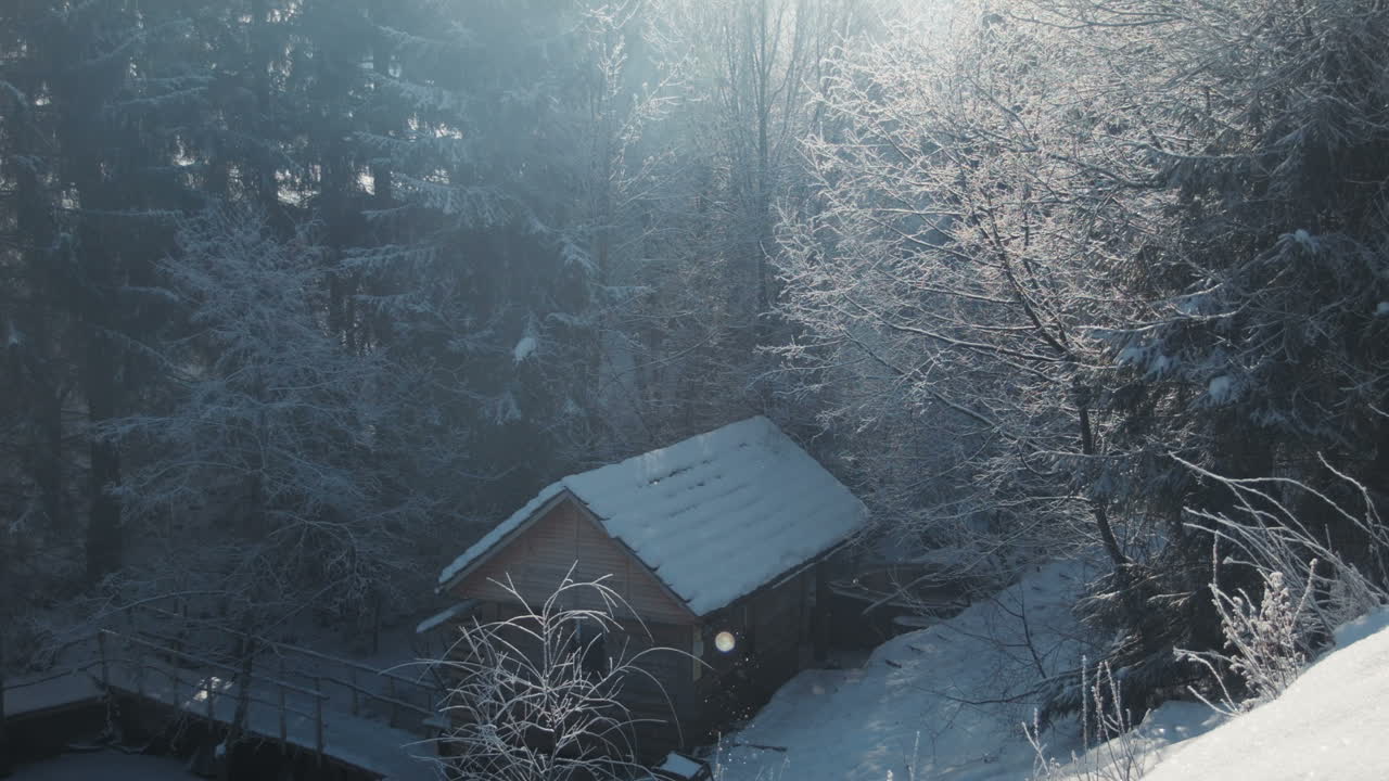 Wooden Lodge In The Winter Wood (Stock Footage)