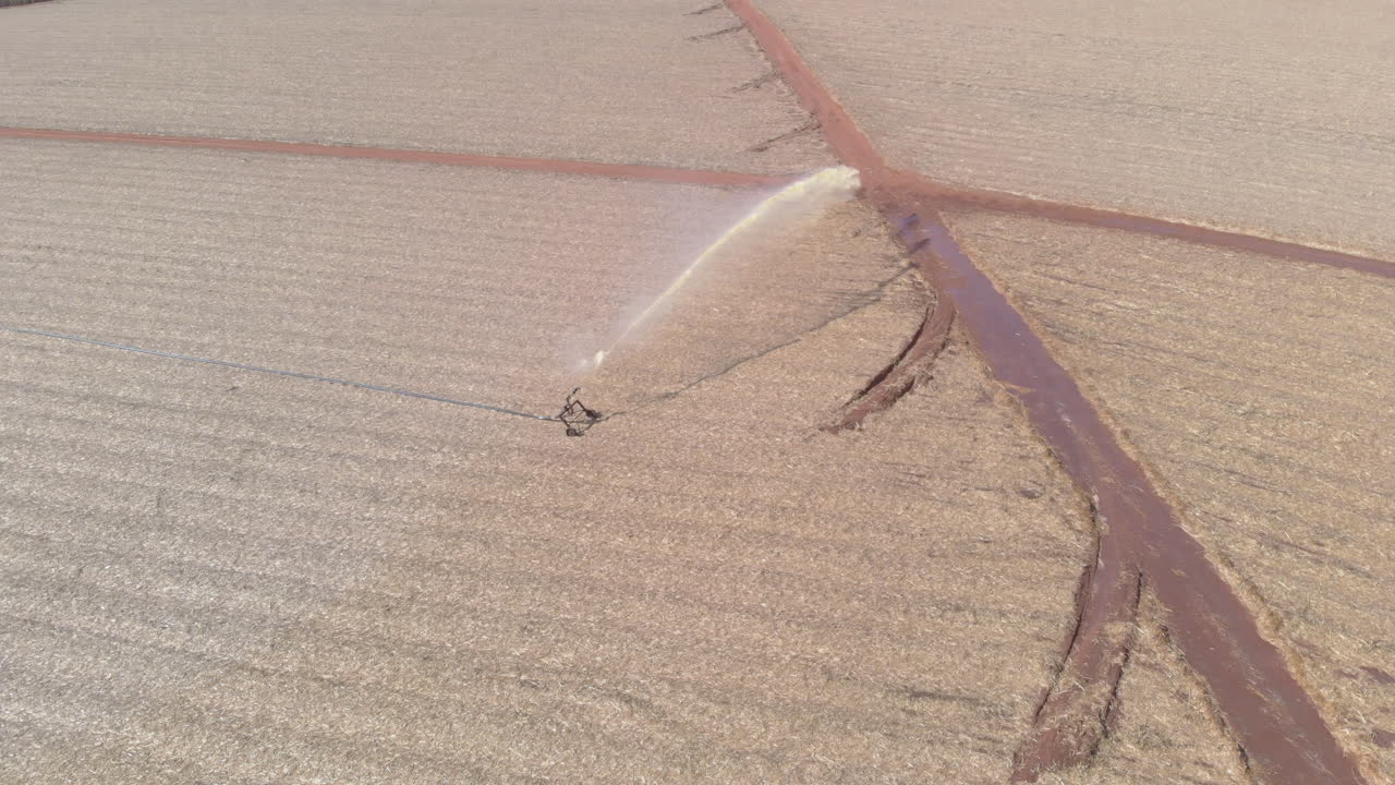 사탕수수 농장의 토양 처리