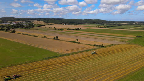 agricultura industria desarrollo trigo cultivo polonia