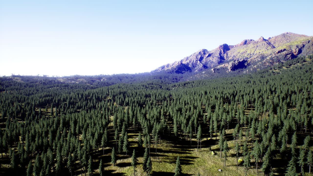 Breathtaking view of endless evergreen forests beneath majestic mountains