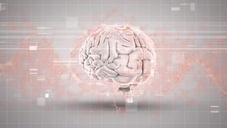 animación de interferencia sobre el cerebro digital y la cadena de adn en fondo blanco