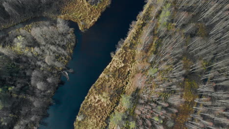 aerial, top down, birdseye, drone shot, over a river, surrounded by leafless, autumn forest, on a cold, half cloudy, fall day, in juuka, north karelia, finland