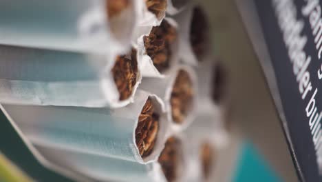 close-up view of cigarettes in a pack