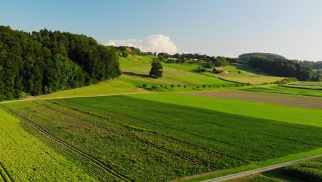 Tonos-De-Verde-Capturados-Desde-Un-Dron