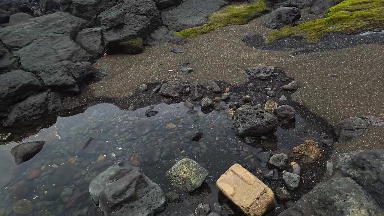 Nærbillede af Sagye Strands sorte vulkanske sand og basaltklipper med grøn mos og klart lavt vand over farverige småsten på Jeju, Sydkorea.