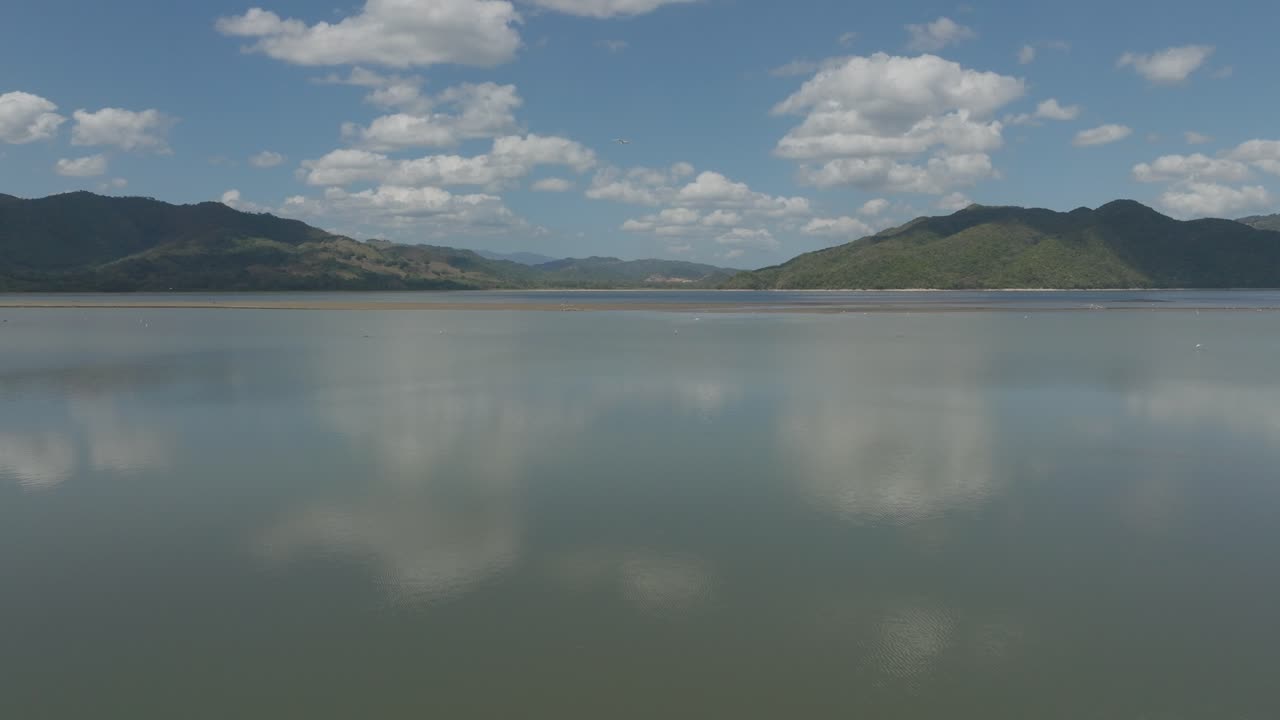 volando sobre la superficie de agua del lago del parque nacional aniana vargas en la república dominicana
