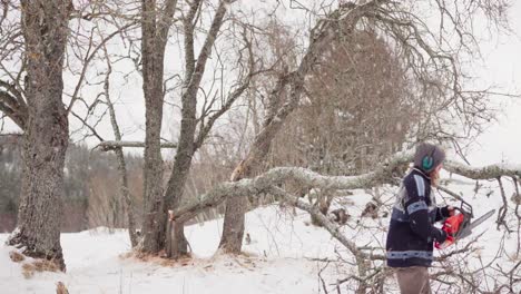 Man-Using-Chain-Saw-To-Remove-Fallen-Trees-In-The-Forest-During-Snowfall-In-Winter